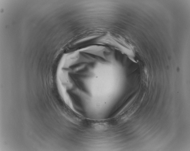 X0000073740508200608311913