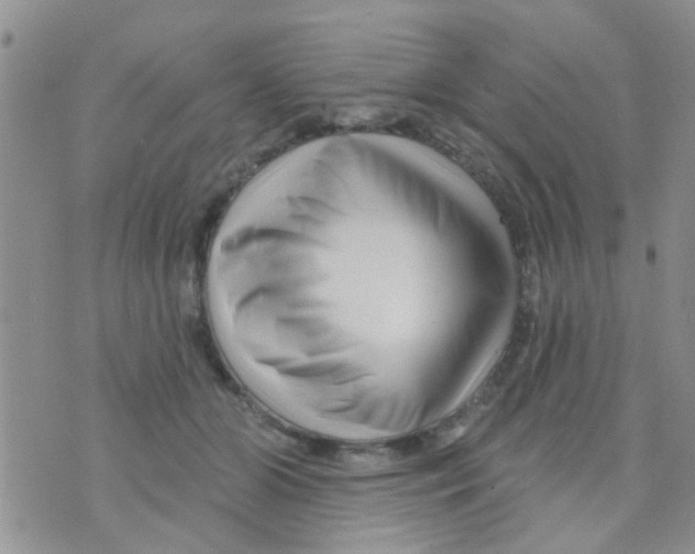 X0000073740510200608311913