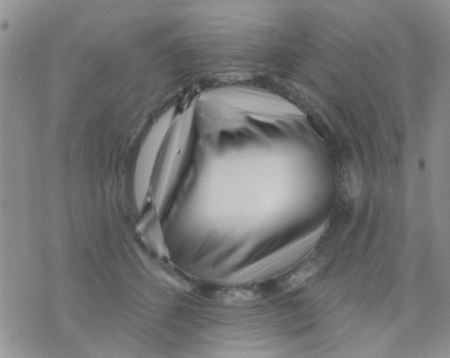 X0000073740512200608311913