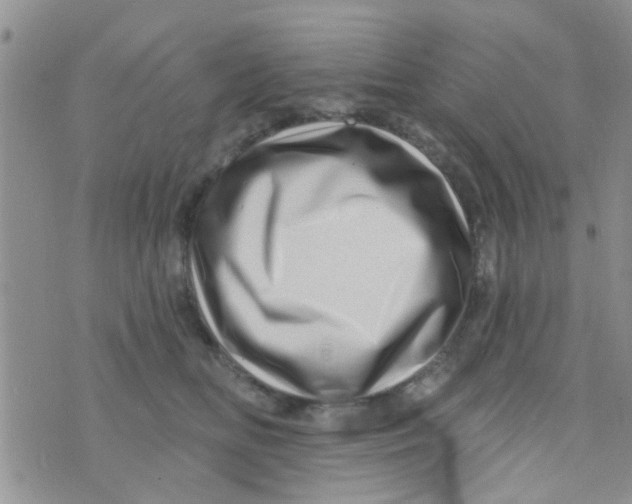 X0000073740518200608311913