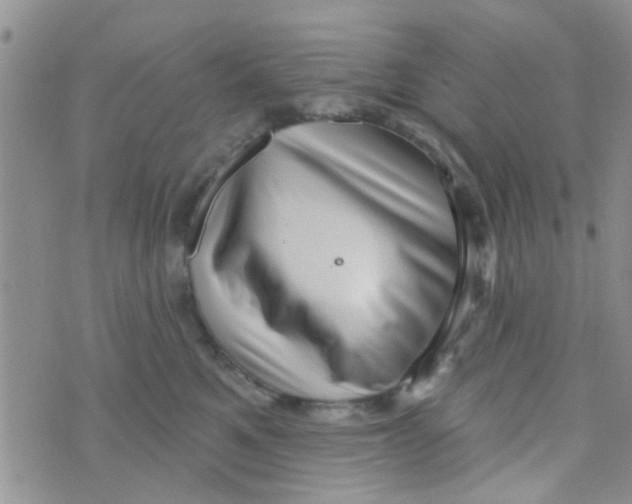 X0000073740521200608311913