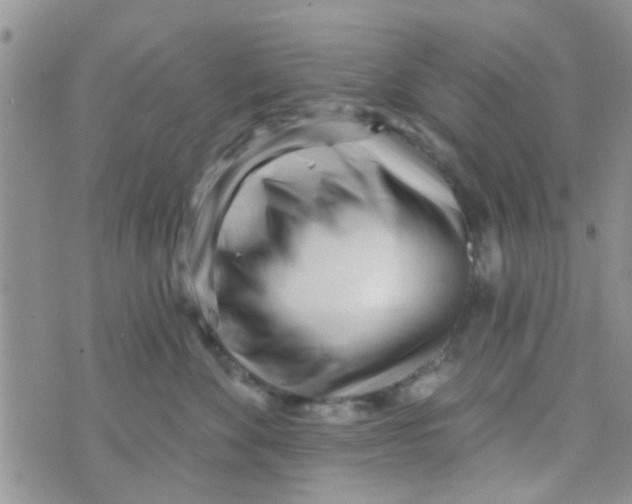 X0000073740524200608311913