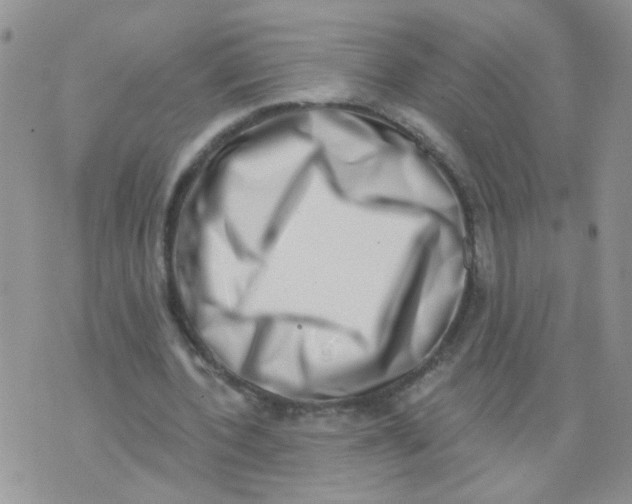 X0000073740532200608311912