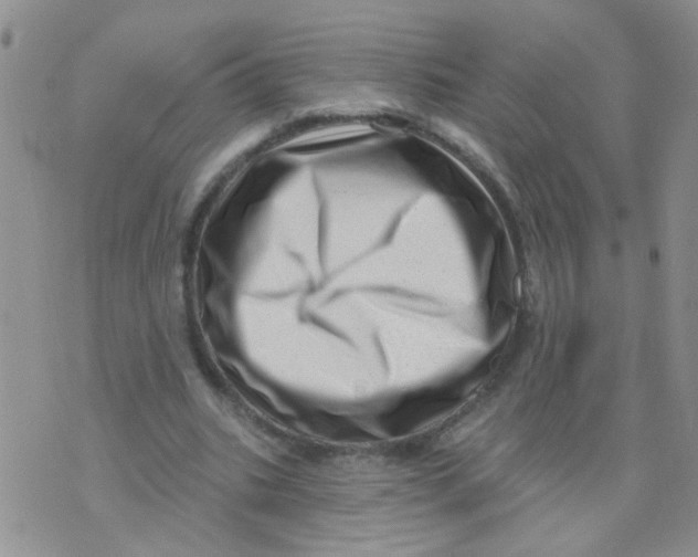 X0000073740535200608311912