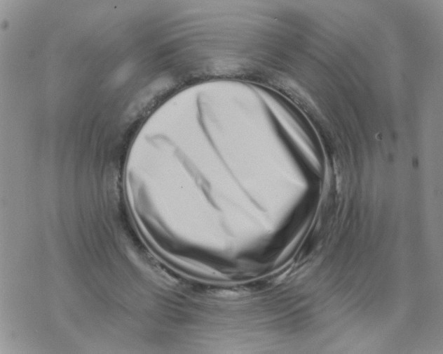 X0000073740542200608311912