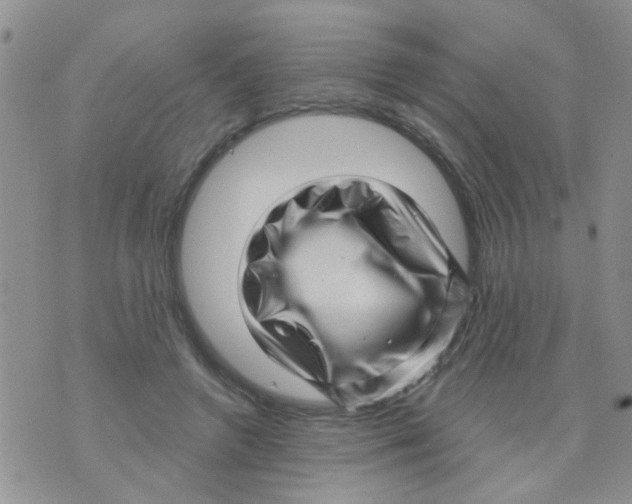 X0000073740546200608311913
