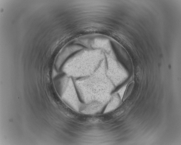 X0000073740547200608311913