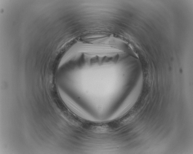 X0000073740548200608311913
