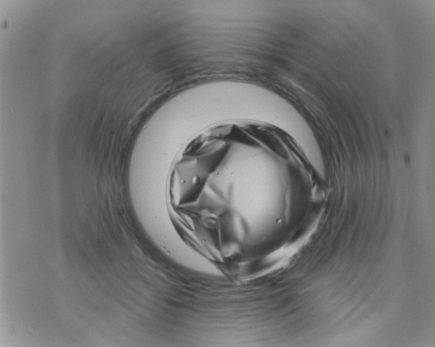 X0000073740556200608311913