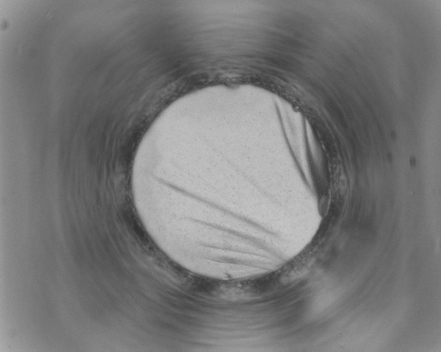 X0000073740557200608311913