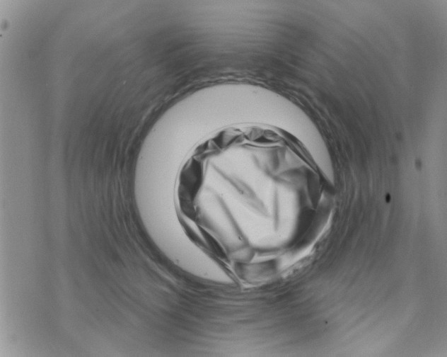 X0000073740564200608311913