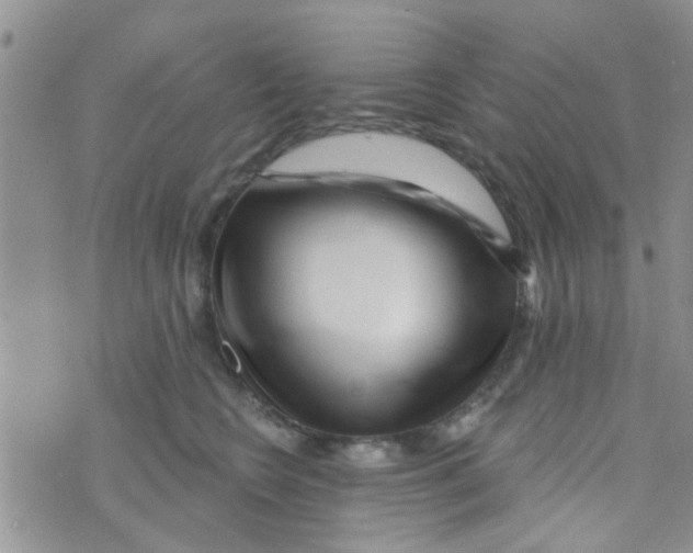 X0000073740566200608311913