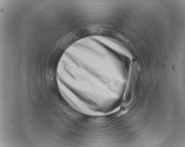 X0000073740567200608311913