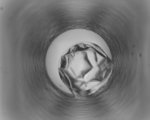 X0000073740568200608311913