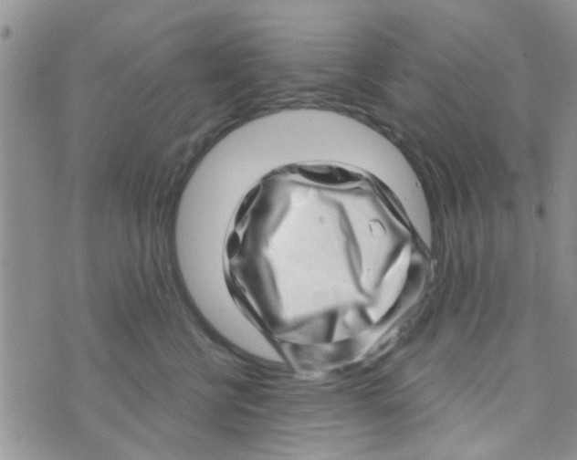 X0000073740570200608311913