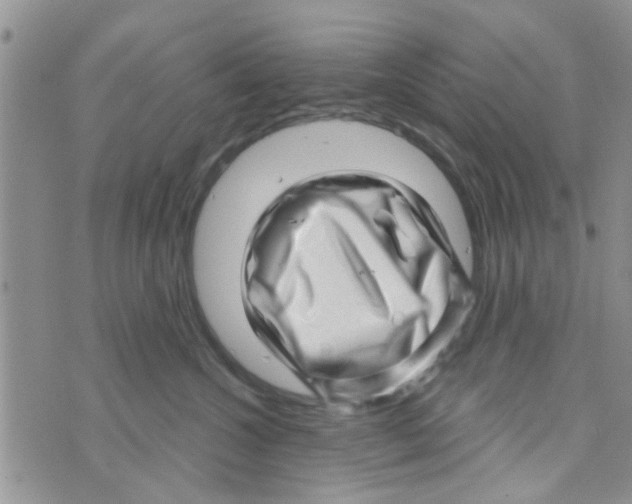 X0000073740572200608311913