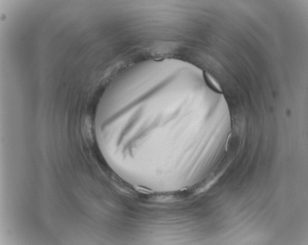 X0000073740575200608311913