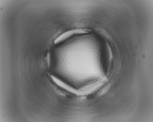 X0000073740576200608311913