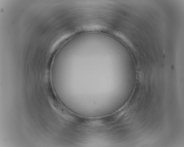 X0000073740583200608311912
