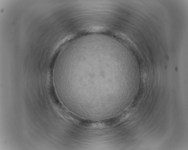 X0000073740591200608311912