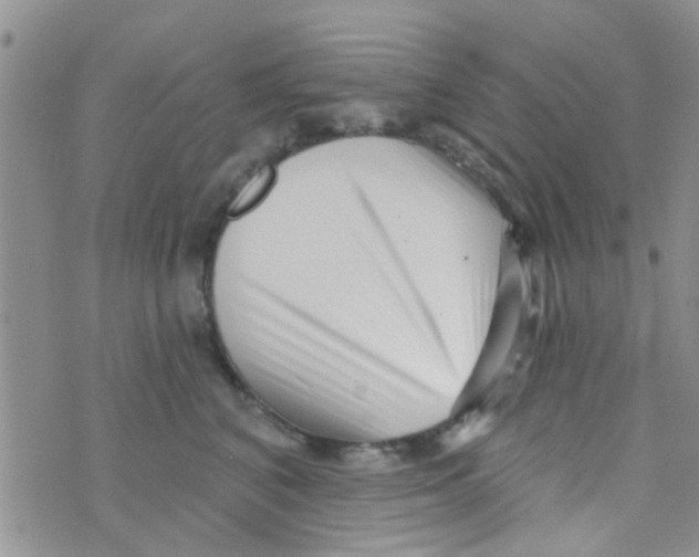 X0000073740616200608311912