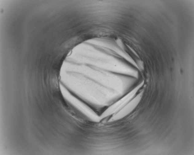 X0000073740622200608311911
