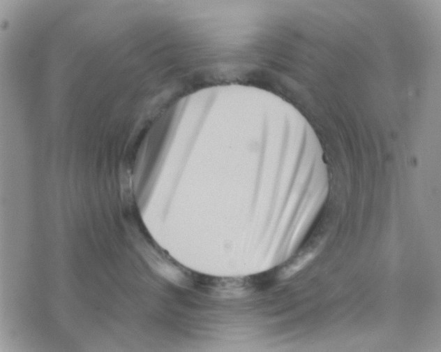 X0000073740624200608311911