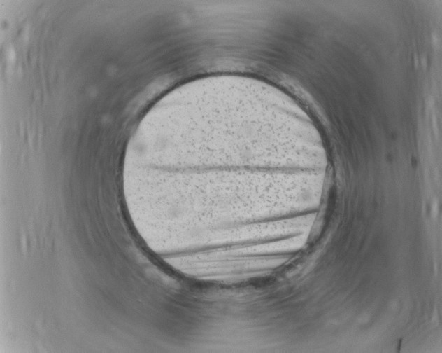 X0000073740625200608311911