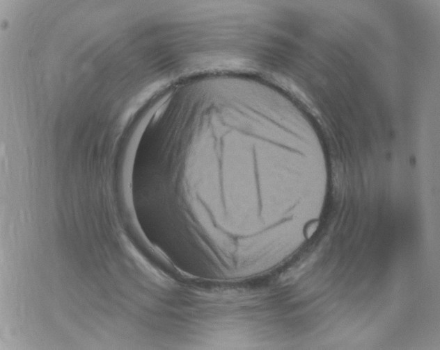 X0000073740629200608311911