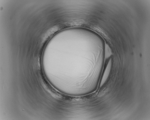 X0000073740634200608311911