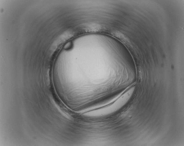X0000073740638200608311911