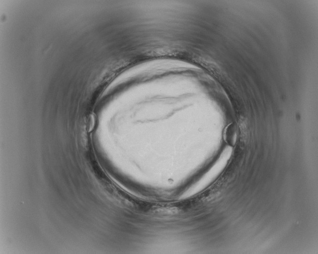 X0000073740642200608311911