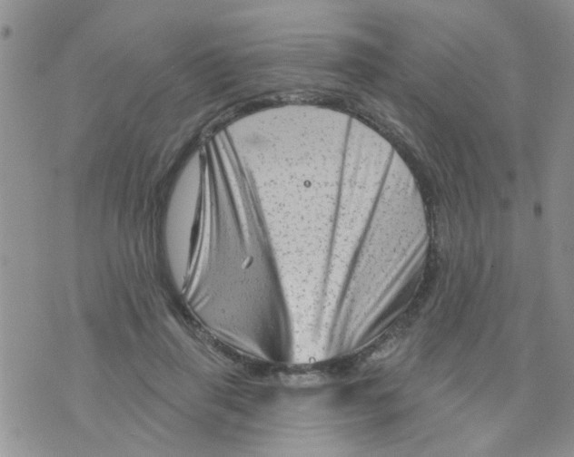X0000073740645200608311911