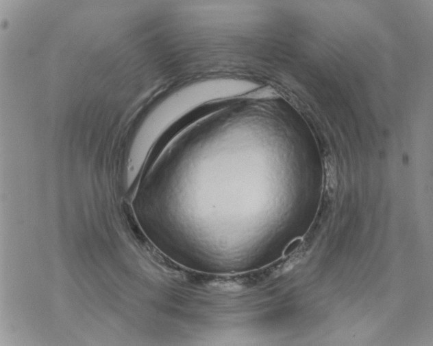 X0000073740648200608311911