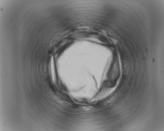 X0000073740654200608311911