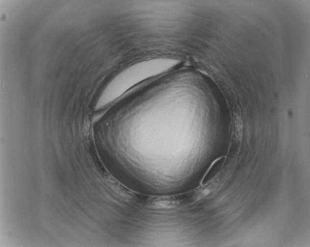 X0000073740657200608311911