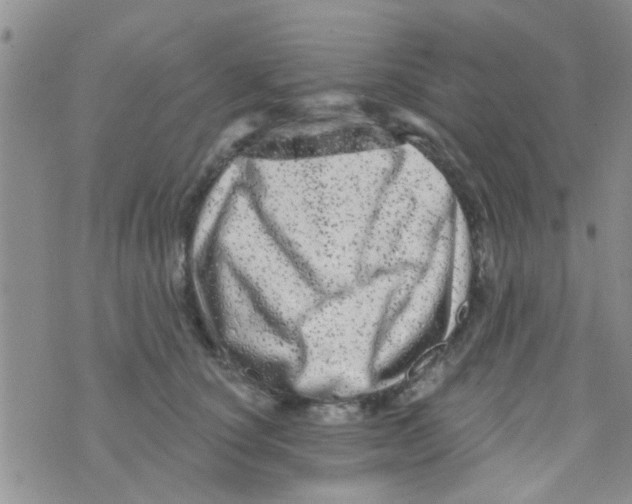 X0000073740660200608311911