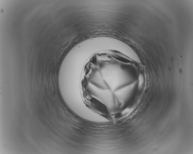 X0000073740661200608311911