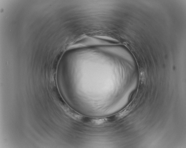 X0000073740662200608311911