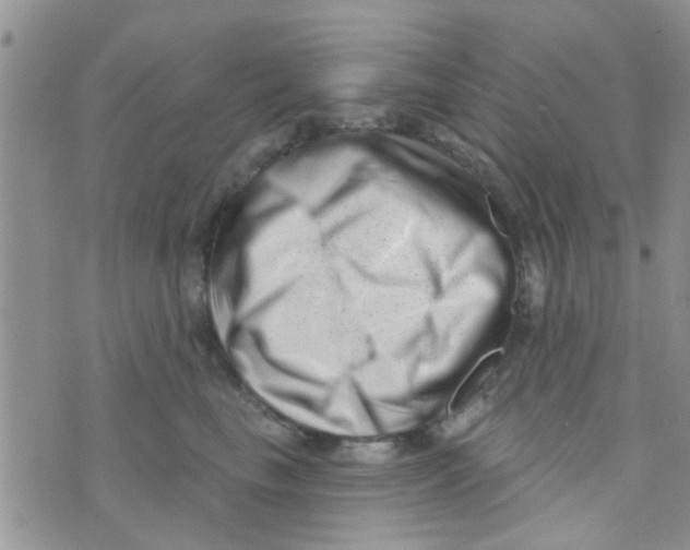 X0000073740665200608311911
