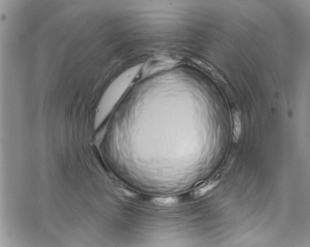 X0000073740667200608311911