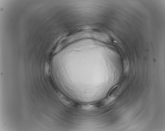 X0000073740669200608311911