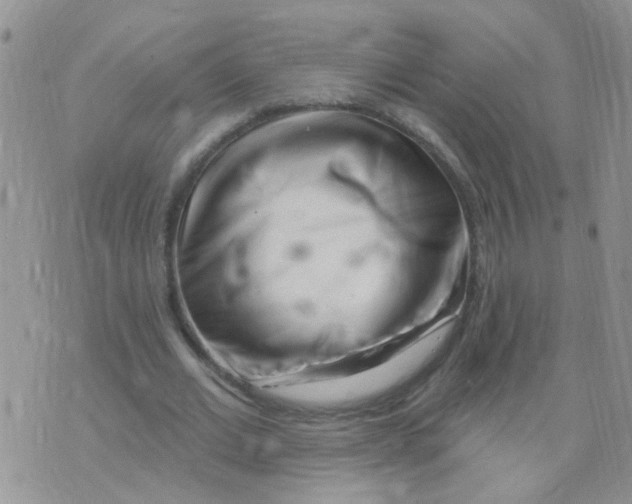 X0000073740677200608311911