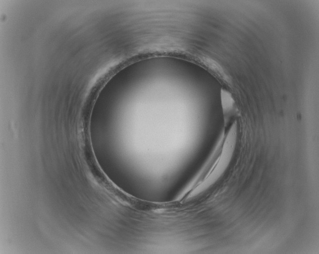 X0000073740680200608311911