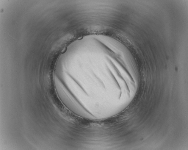 X0000073740690200608311910