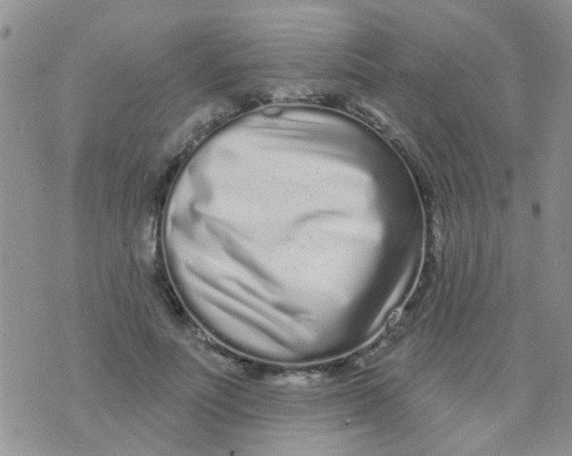 X0000073740691200608311910
