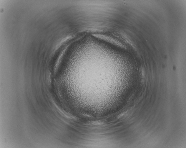 X0000073740692200608311910