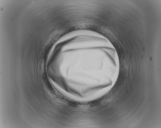 X0000073740694200608311910