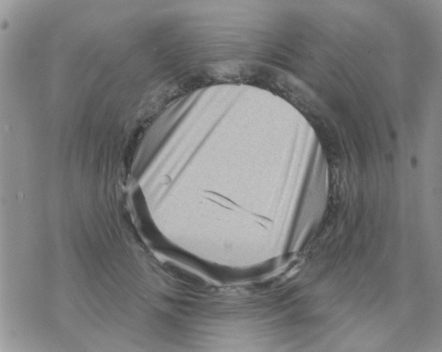 X0000073740702200608311910