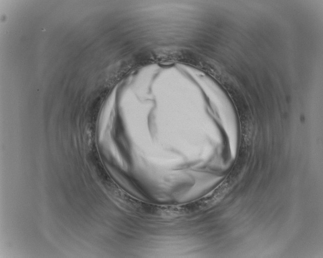 X0000073740703200608311910